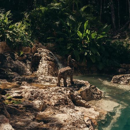 Amaite Retreat Tulum Hotell Macario Gomez Eksteriør bilde